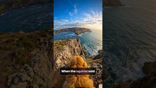 Top 4 EXTREME Dog POV Adventures 🐶🌊 Caught on Cam! #dogpov #dogs #shorts #adventuredog #viral