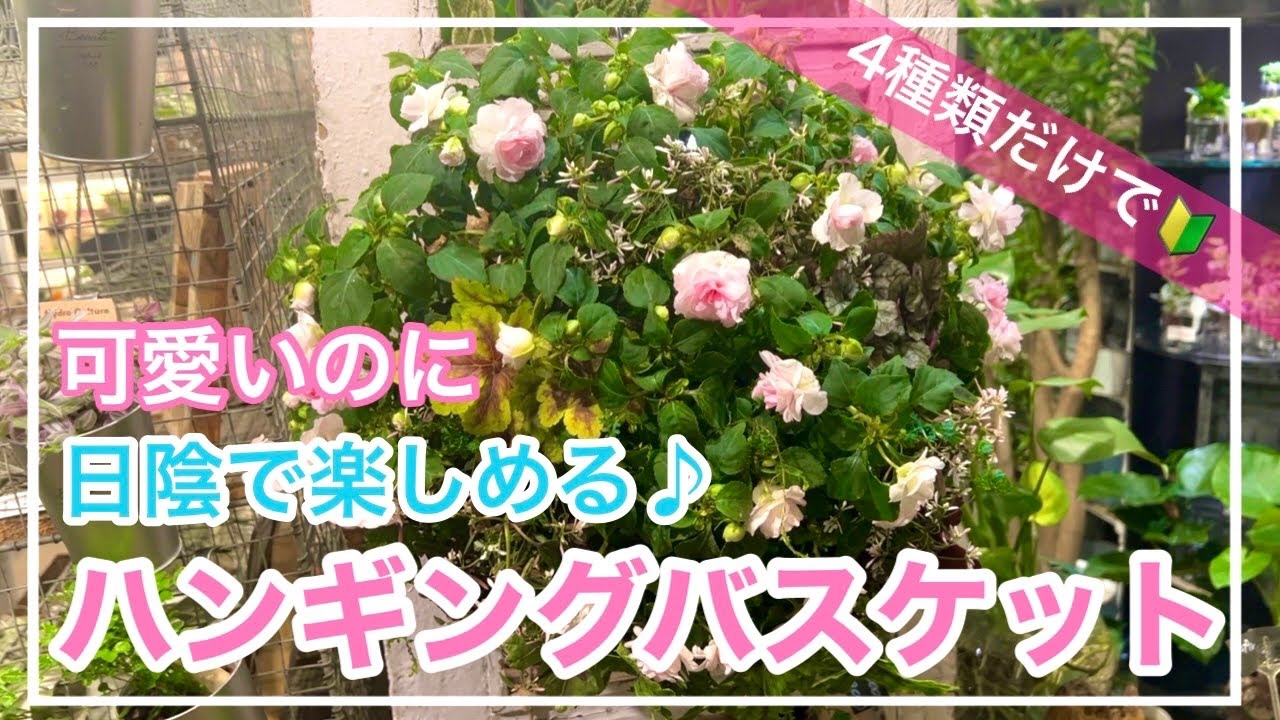 ダブルインパチェンスを使って夏の日陰で楽しめる寄せ植え 寄せ植え道場 Youtube