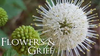 Flowers Grief and Doing Okay
