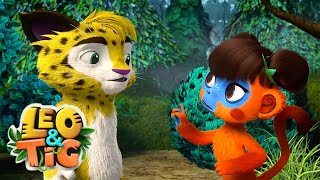 Leo and Tig - The Mysterious Guest (Episode 27) 🦁 Cartoon for kids Kedoo Toons TV