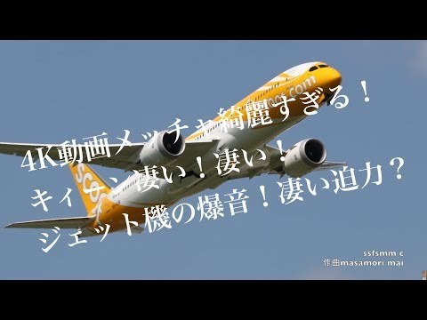 4K動画 4K video　ジェット機　成田空港「ひこうきの丘」