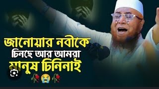 জানোয়ার নবীকে চিনছে আর আমরা মানুষ হয়ে চিনতে পারিনা মুফতি নজরুল ইসলাম কাসেমী