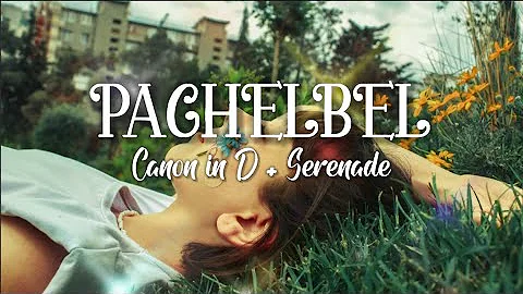 Canon in D + Serenade Pachelbel Instrumental