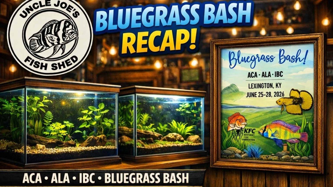 Live From the Shed ...  2026 Bluegrass Bash  ReCap