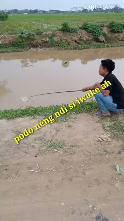 Story wa mancing keren