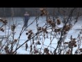 Большой пруд в Ненашево. Рыбаки на льду!:)) Недалеко Улыбка, Веселый бобренок и Калинка-Малинка.