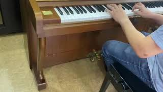 SAMICK SU 118CS