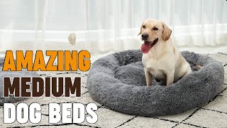 Dog Beds for Medium Dogs : Best Selling Dog Beds On Amazon
