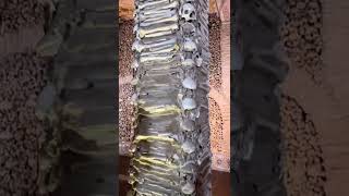 📍Capela de Ossos - Évora