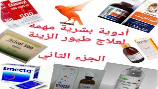 أدوية بشرية مهمة لعلاج طيور الزينة بشكل أمن(الجزء2)2021