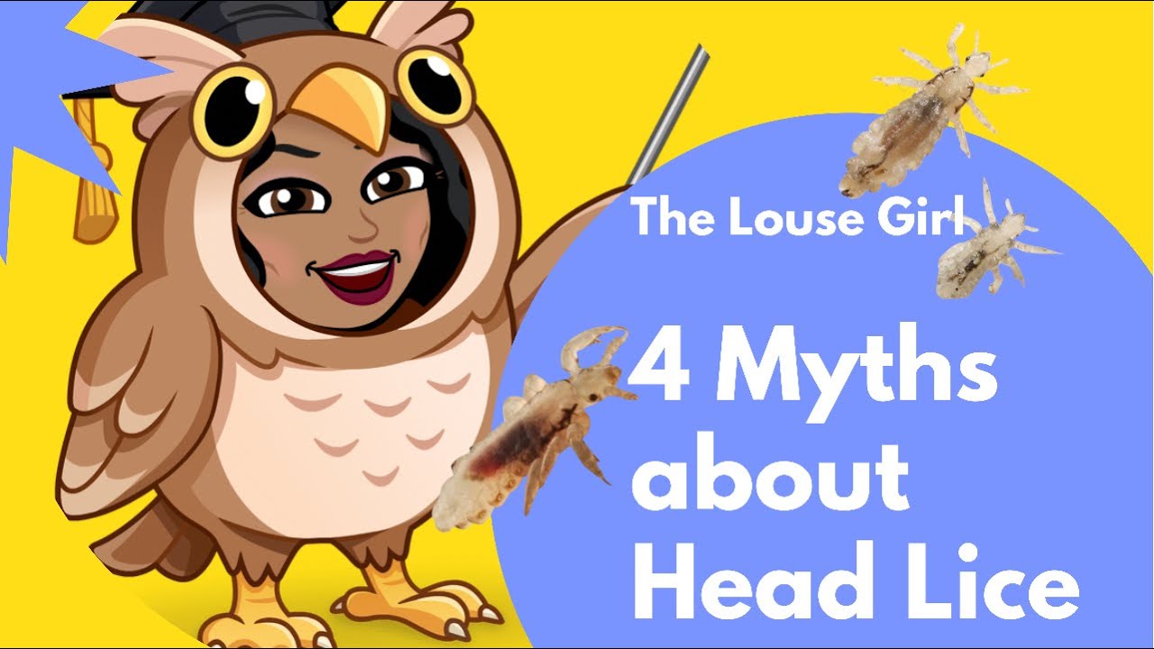 4 Myths about Head Lice l Lice Treatment | lice infestation l Back to School l The Louse Girl