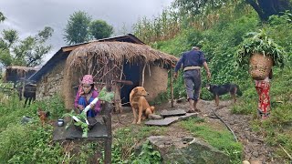 Pure Village Life in Nepal | Remote Living & Homemade Food