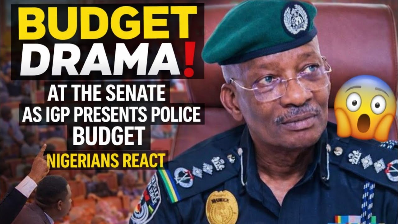 Drama at the Senate as IGP Presents Police Budget — Nigerians React