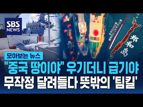'중국 땅이야' 우기더니 급기야…무작정 달려들다 뜻밖의 '팀킬' / SBS / 모아보는 뉴스