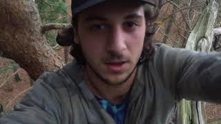 Sketchy Treetop Smoke Session with Spoon 🥄🍻🌲🗿