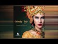 Oriental Trip, Vol. 4 (Compiled by Dj Brahms)