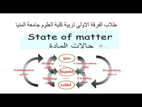 L1المحاضرة الاولي كلية التربية جامعه المنيا 