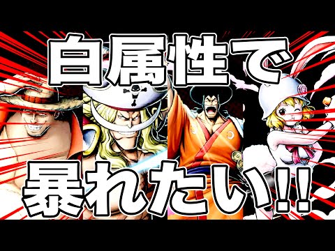 ランカー帯で白属性を輝かせたい‼️環境が変わる前にシリーズ【バウンティラッシュ】