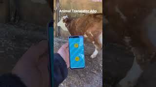 ANIMAL TRANSLATOR APP - bagong patok ngayong 2023 (NEW) screenshot 3