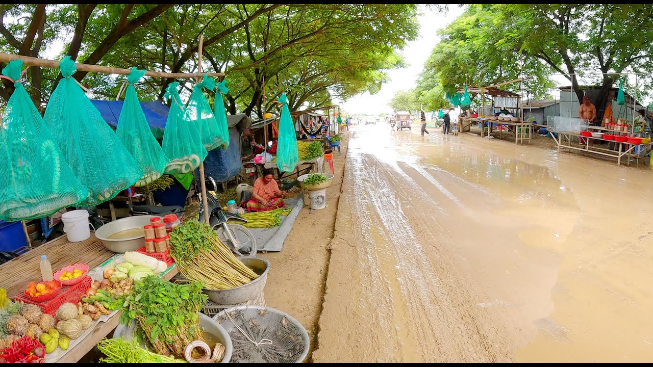 Cambodia Roadside STREET FOOD - Countryside Market Tour Compilation, Amazing Hidden Place!