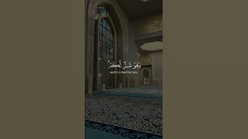 سورة البقرة | القارئ : مشاري العفاسي ،، اكتب شيئا تؤجر عليه