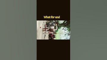 short feed channel pages youtube search browse features #newvlog #minivlog #youtubevideo