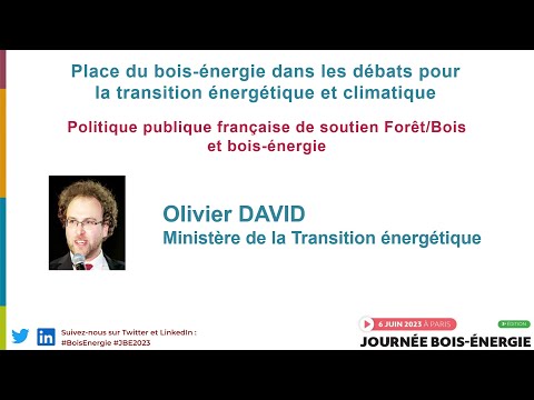 Politique publique française de soutien Forêt/Bois et bois-énergie par Olivier DAVID (MTE)