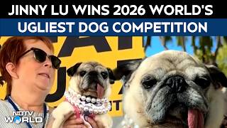 World's Ugliest Dog Contest: 6-Year-Old Pug Jinny Lu Wins 2026 Competition