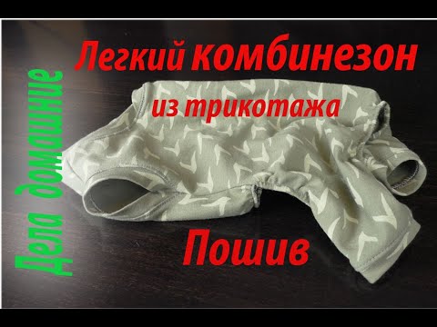 Как своими руками сшить комбинезон для йорка