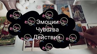 4 короля Эмоции Чувства Действия