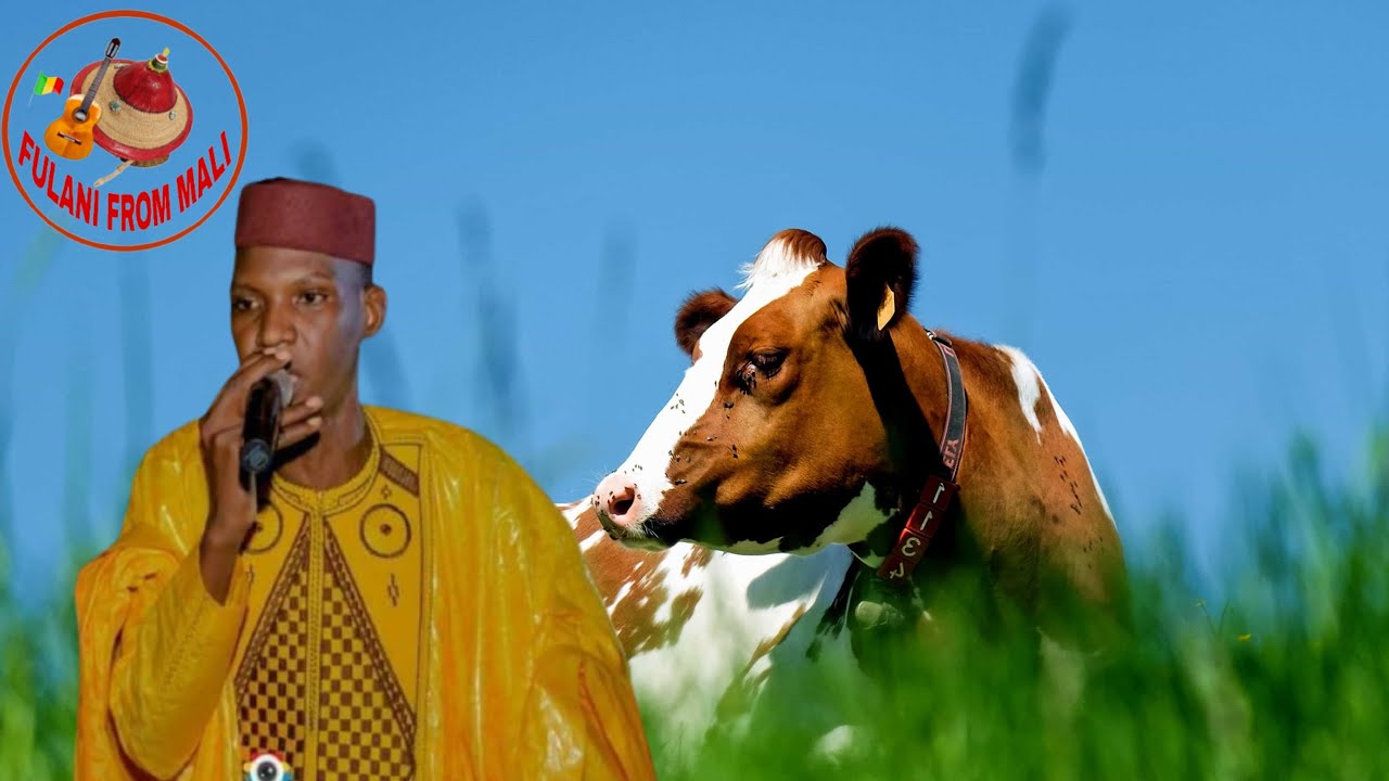 Pullo-mo-nagge by Abba galle