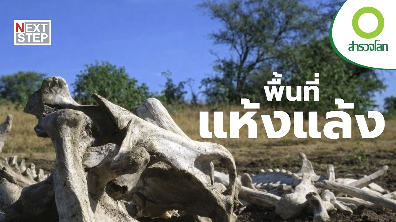 แห้งแล้ง เส้นแบ่งระหว่างความรอดและความตาย | สารคดี สำรวจโลก