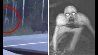 Top 10 Monsters Caught on Camera