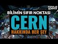 CERN Hakkında Her Şey | Popular Science Türkiye