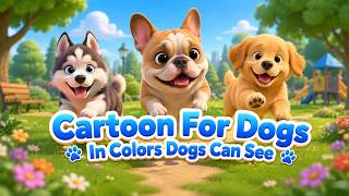 24 Hours Dog Cartoon: Pet Park Adventure Time 🐶🇺🇸 | Relaxing Music For Dogs