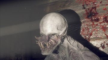 RE:4 Randomizer 2x Enemies S+ Permadeath Runs Day #4