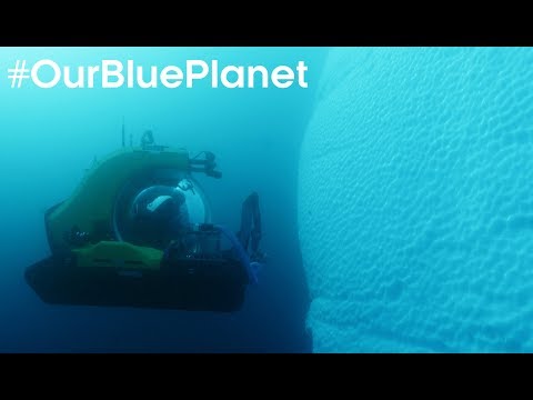 Pioneering Scientist Journeys 1000m Deep In Antarctica #OurBluePlanet | BBC Earth