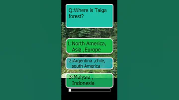 Taiga Forest A Wide Range Of Forest Rainforestwildlife Adventure Facts Animals Nature 