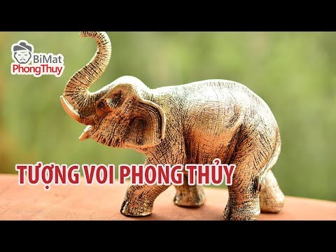 Video: Bức Tượng Con Voi Có Nghĩa Là Gì