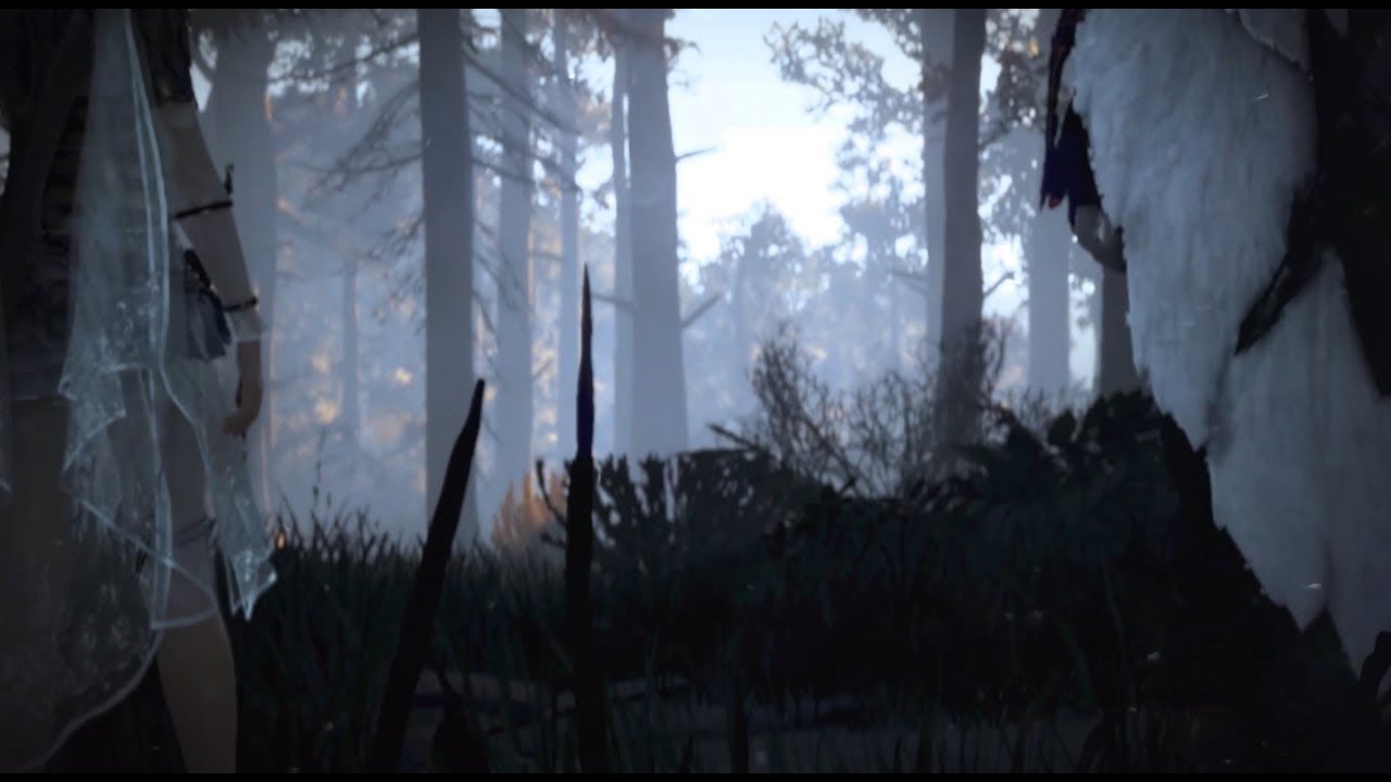 Black desert - Music video