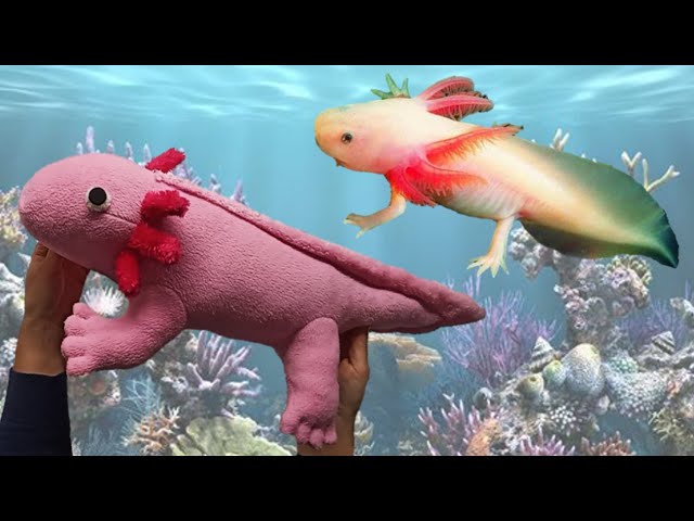 Аксолотль своїми руками / DIY axolotl