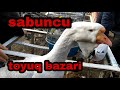 Sabuncu toyuq bazari. 01.12.2019