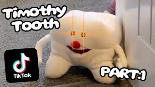 Timothy Tooth Tiktok Compilation | Part 1