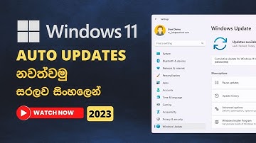 How to stop automatic updates on Windows 10/11  / Explained in Sinhala
