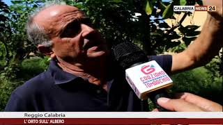 L Orto Sull Albero A Reggio Calabria