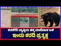 Kanakagiri : ಕನಕಗಿರಿ ವ್ಯಾಪ್ತಿಯ ಚಿಕ್ಕ ಮಾದಿನಾಳ ಬಳಿ ಇಂದು ಕರಡಿ ಪ್ರತ್ಯಕ್ಷ | Bear sighted | ChikkaMadinala