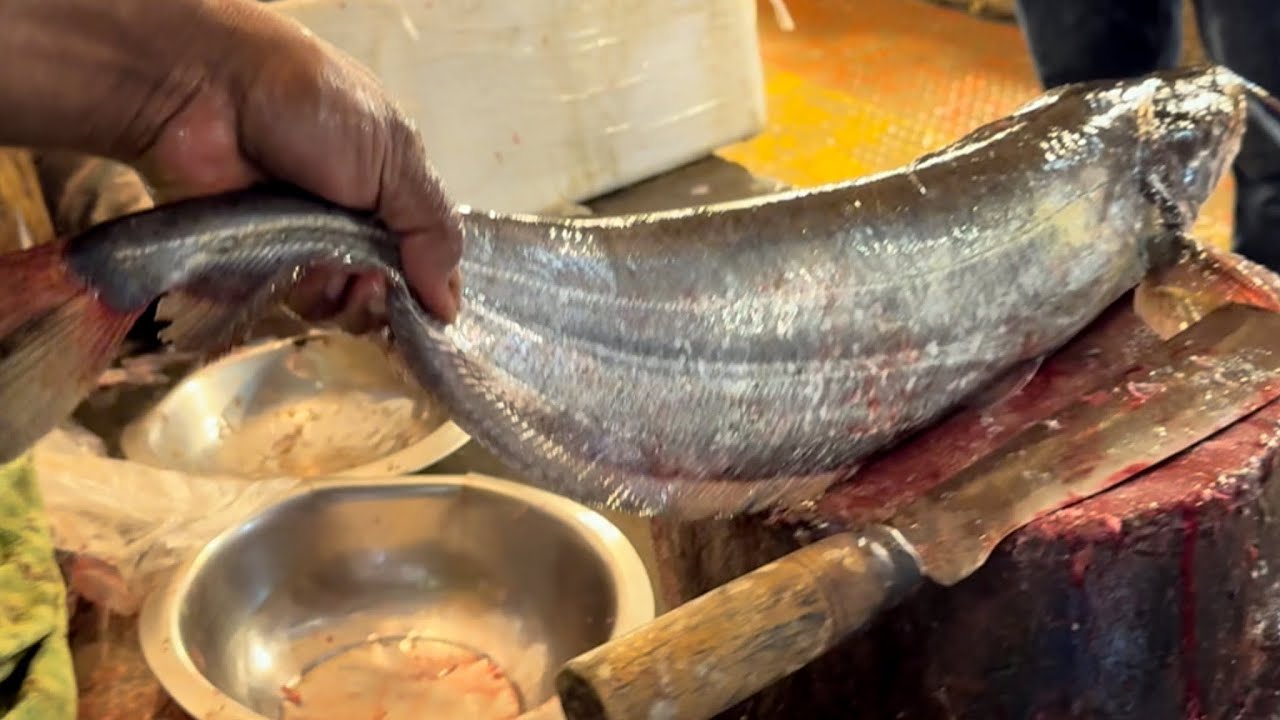Popular Big Walago Boal & Rohu Fish Cutting Skills In Fish Market ...