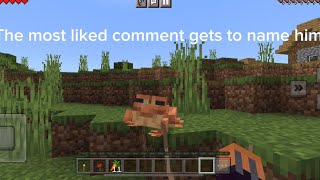 Name my pet Frog! screenshot 2