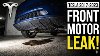 Tesla Leaking Oil? Front Motor Leak Explained