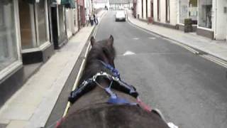 Saddlechariot with Molly meeting motorbike